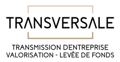 logo Transversale Conseil SAS